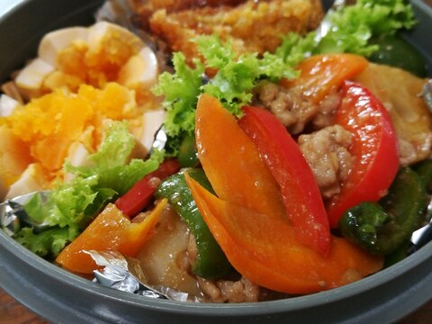 カラフル野菜の肉味噌彩りお弁当♬